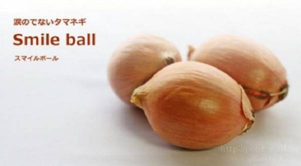 مفاجئة الموسم بصل بلا دموع