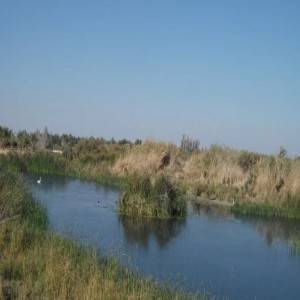 اكتشاف أقدم بقايا دم وأنسجة حيوانية بالعالم في الاردن