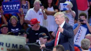ترامب يطلب من مؤيدى حمل السلاح وقف هيلاري كلينتون