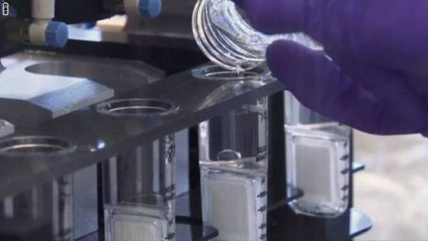 هل هذا هو العلاج لمرض السرطان؟