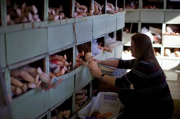 في أستراليا فقط.. مستشفى لعلاج الدمى المكسورة على يد جرّاحين متخصصين!