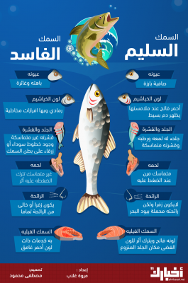 كيف تفرق بين السمك السليم والفاسد