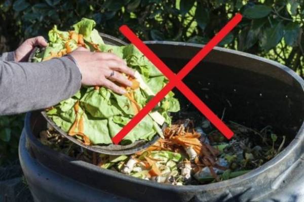 مطعم يعاقبك بهذه الطريقة ... اقرا التفاصيل