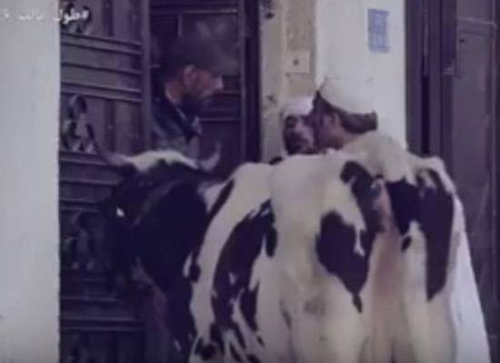 فيديو: شاهد الكاميرا الخفية من غزة