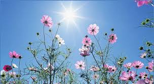 طقس صيفي لثلاثة ايام