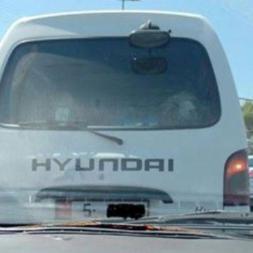 شاهد بالصورة ... خروف العيد في مركبة حكومية في أحد شوارع الأردن!