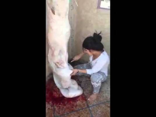 فيديو فتاة مغربية تنشر فيديو لها وهي تقوم بسلخ أضحية العيد
