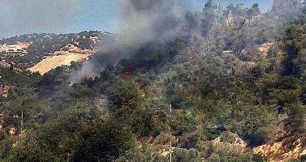 حريق كبير في احراش عجلون