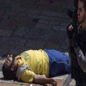 الحكومة تطلب من السفيرة الاسرائيلية تفاصيل مقتل الشهيد العمرو