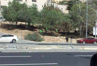 حملة نظافة للسفوح الجبلية على شارعي الأمير الحسين بن عبدالله والاميرة بسمة