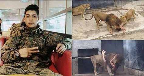 شاب يقدم نفسه وليمه للاسود والسبب لن تصدق