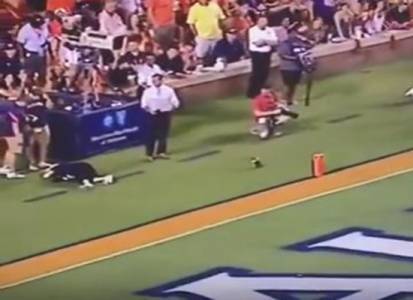 بالفيديو...مشجعة تتلقى كرة في وجهها خلال مباراة على الهواء مباشرة!