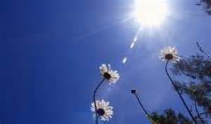 طقس جاف ومائل للحرارة اليوم