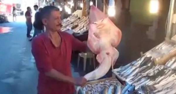 بالفيديو قرش نادر بملامح بشرية!