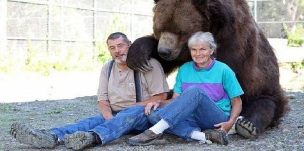 بالصور.. زوجان أمريكيان يتبنيان 11 دبًا أحدها عمره 22 عامًا