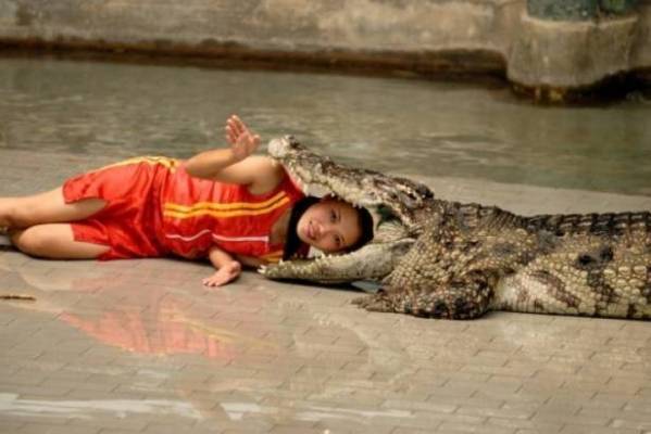 فيديو: أخطر 10 مهن في العالم لا ننصحك بها!!