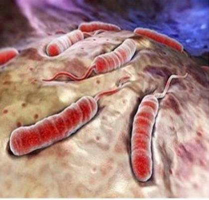 تجنّبوا تناول هذه الأطعمة... للوقاية من السرطان!