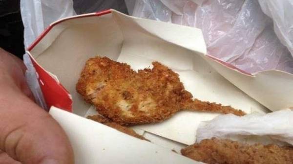 تداول صور لـفأر مقلي بوجبات كنتاكي والمطعم ينفي ويحذر