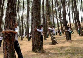 تعرّف على السبب الذي جعل هؤلاء الناس يحضنون الشجر بهذه الطريقة!