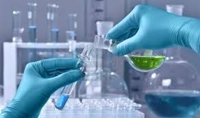 عقار يطيل عمر الكلاب.. هل يصلح للبشر مستقبلا؟