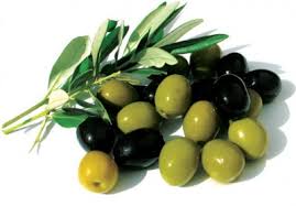 ثبات اسعار زين الزيتون