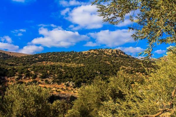 الاثنين .. انخفاض على الحرارة وأجواء خريفية