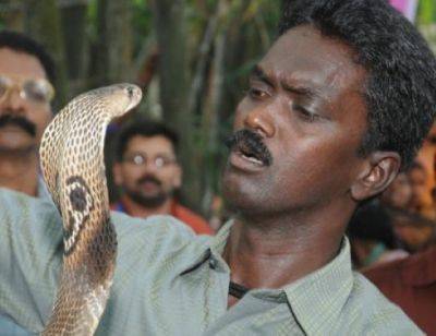 فيديو ...رجل يطلق 300 أفعى في إحدى الحدائق الهندية!