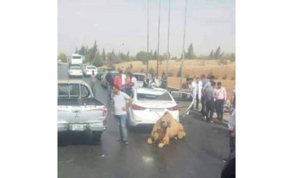 في اربد.. السماء تمطر جمال..! صور