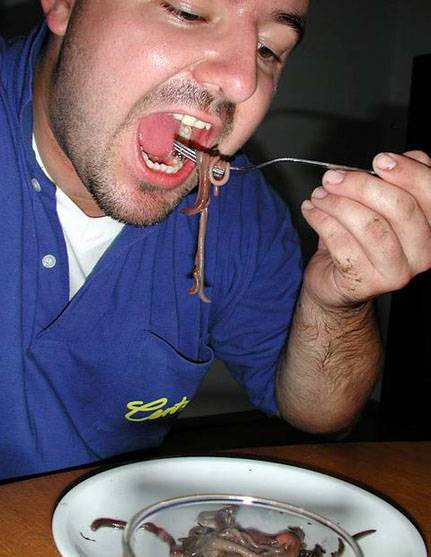 مطاعم بعمان تقدم  ديدان حية وصراصير!!