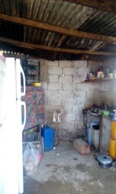 في عمان .. عائلة ام عزت تعيش في بيت سقفها  زينكو