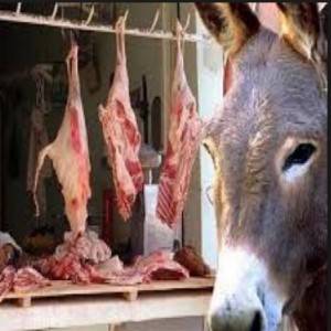 الغذاء والدواء : الاردن خالٍ من لحوم الحمير