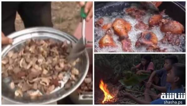 بالفيديو: تعرفوا على أغرب 10 حيوانات يأكلها الناس حول العالم!