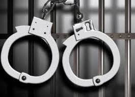 إلقاء القبض على شجرة متحركة في الشارع