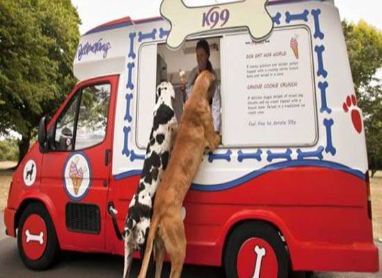 بوظة للكلاب بنكهة اللحم