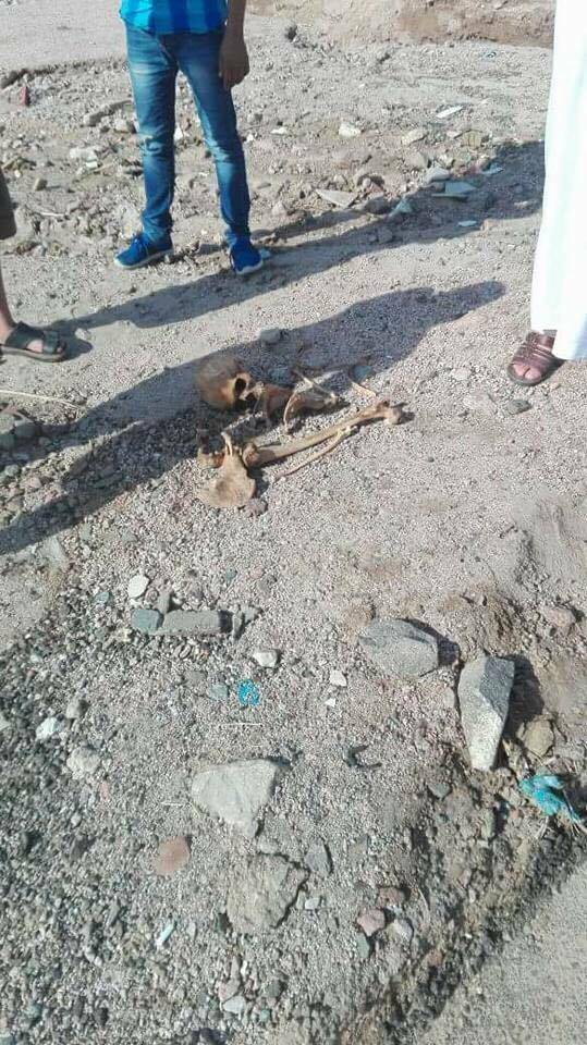 العثور على هيكل عظمي بالعقبة  صور