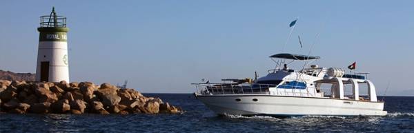 هزتين ارضيتين جنوب العقبة