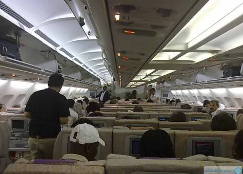 ثعبان ضخم على متن طائرة بالمكسيك يثير رعب الركاب.. شاهد الفيديو