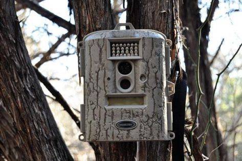 كاميرات لمراقبة الغابات