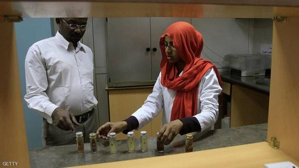 عالم: السودان أصل البشرية بالأدلة العلمية