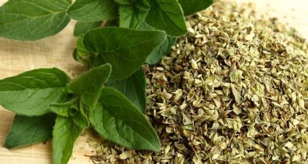 أنت حامل.. ابتعدي عن الزعتر