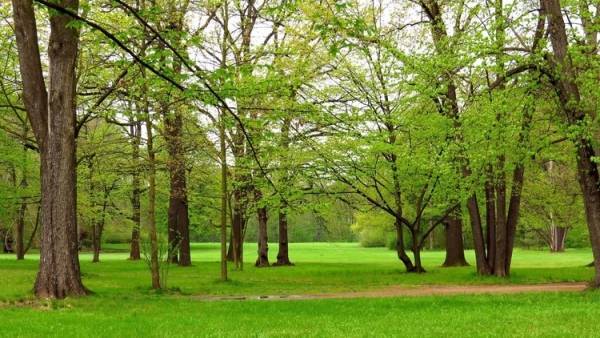 بعد 3 سنوات.. الطبيعة تعيد لرجل ألماني شيئا عزيزا فقده