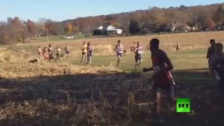 اصطدام عداء أمريكي بغزال أثناء سباق... فيديو