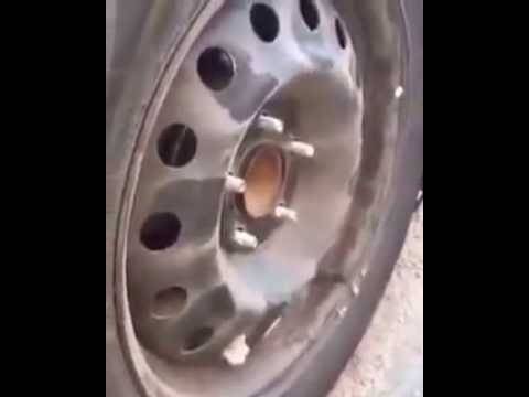 قبل تشغيل سيارتك شيك عليها خاصة بالشتاء – شاهد ماذا وجد هذا الشاب