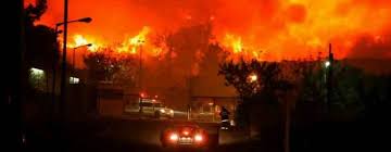 كيف علّق النجوم على “حرائق اسرائيل”؟