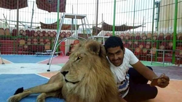 أسد يقتل مدربة خلال عرض بالسيرك في مصر (فيديو)