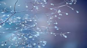 صقيع الليلة وانخفاض الحرارة خلال اليومين المقبلين