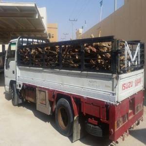 ضبط 6 سيارات محملة بالأحطاب