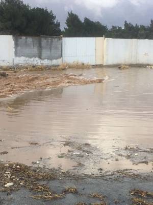 طلبة جامعة الشرق الأوسط يناشدون وزيري البلديات والأشغال العامة.. شاهد الصور