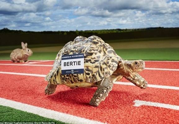 أغرب ما جاء في موسوعة جينيس لعام 2016