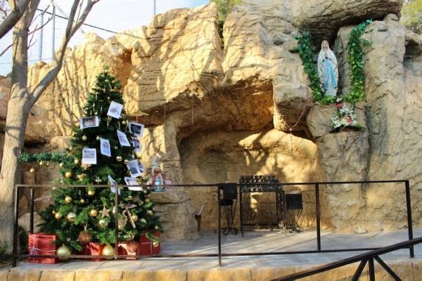 شجرة الوحدة الوطنية تحمل صور الشهداء